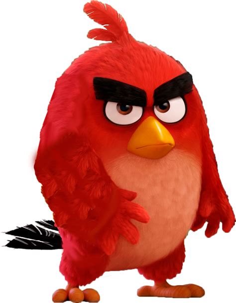 red angry birds